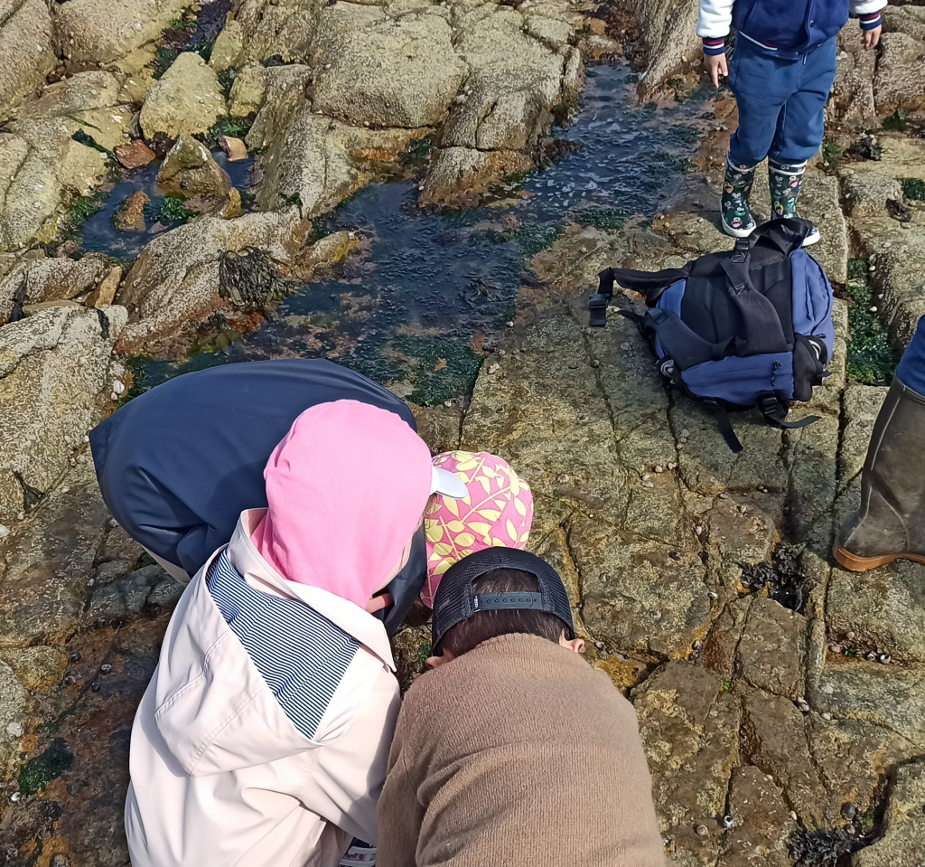 Balades sur l'estran